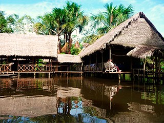 Lima – Iquitos / Cumaceba Lodge – Jungle walk.
